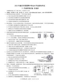 2025届重庆市康德卷高三上学期期中考试生物试题