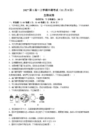 四川省成都市第七中学2024-2025学年高一上学期期中联考生物试题(无答案)