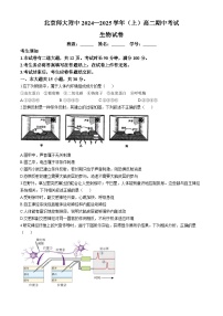 北京市北师大附中2024-2025学年高二上学期期中考试生物试题(无答案)