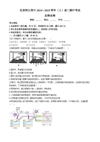 北京市北师大附中2024-2025学年高二上学期期中考试生物试题(无答案)