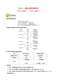 备战2025年高考生物考点一遍过考点25减数分裂和受精作用教案（Word版附解析）