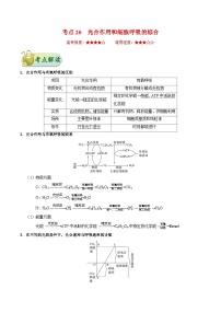 备战2025年高考生物考点一遍过考点20光合作用和细胞呼吸的综合教案（Word版附解析）