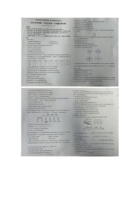 新疆维吾尔自治区伊犁州直和兵团第四师、第七师2024-2025学年高一上学期11月期中生物试题