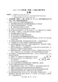 河北省沧州市沧县中学2024-2025学年高三上学期11月月考生物试题