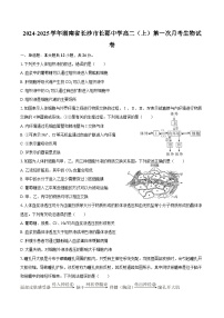 2024-2025学年湖南省长沙市长郡中学高二（上）第一次月考生物试卷（含答案）