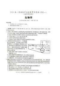 湖南省娄底市娄底市2024-2025学年高三上学期11月月考生物试题