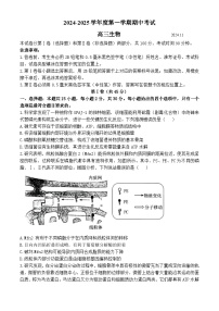 山东省青岛市2024-2025学年高三上学期11月期中生物试题