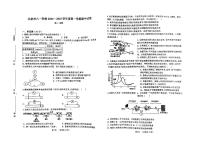 北京市八一学校2024-2025学年高二上学期期中考试生物试卷