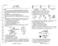 安徽省阜阳市临泉县田家炳实验中学2024-2025学年高三上学期11月期中考试生物试题