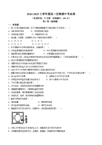 陕西省部分学校2024-2025学年高一上学期11月期中考试生物试题(无答案)