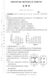 湖南省长沙市湖南师范大学附属中学2024-2025学年高二上学期期中考试生物试卷