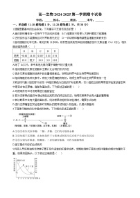 北京市海淀区北京市第五十七中学2024-2025学年高一上学期期中考试生物试卷(无答案)