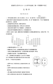 湖南省长沙市湖南师范大学附属中学2024-2025学年高二上学期期中考试生物试卷