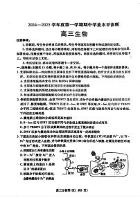 山东省烟台市2025届高三上学期期中学业水平检测生物试题