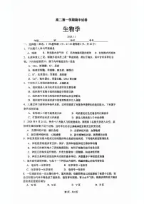北京市清华大学附属中学2024-2025学年高二上学期期中考试生物试题