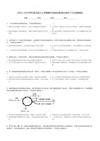 2024～2025学年湖北高三上学期期中生物试卷(部分高中11月)[原题+解析版]