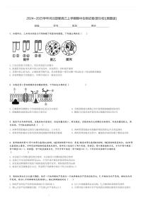 2024～2025学年河北邯郸高三上学期期中生物试卷(部分校)[原题+解析版]