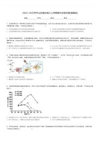 2024～2025学年山东烟台高三上学期期中生物试卷[原题+解析版]