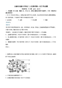 陕西省安康市2024-2025学年高二上学期10月月考生物试题（Word版附解析）