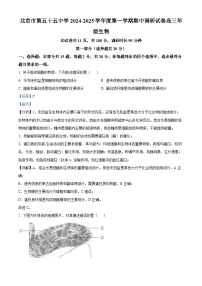 北京市第五十五中学2024-2025学年高三上学期期中调研生物试卷（Word版附解析）