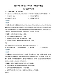 浙江省杭州学军中学2024-2025学年高一上学期期中考试生物试卷（Word版附解析）