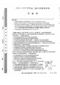 山西省实验中学2024-2025学年高二上学期11月期中考试生物试题