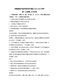 河南省驻马店市经济开发区2024-2025学年高一上学期10月月考生物试卷（解析版）