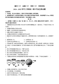 湖北省襄阳四校2024-2025学年高一上学期期中联考生物试卷（Word版附答案）