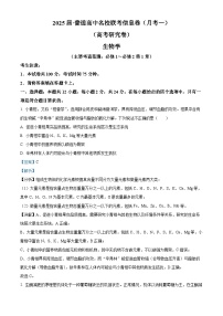 湖南省娄底市名校2024-2025学年高三上学期11月联考生物试卷（Word版附解析）