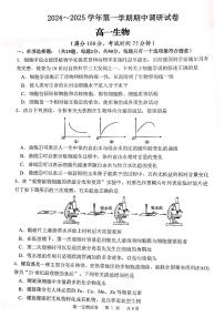 江苏省宿迁市泗阳县2024-2025学年高一上学期11月期中生物试题