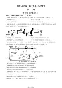 2024北京五十五中高三上学期10月月考生物试题及答案