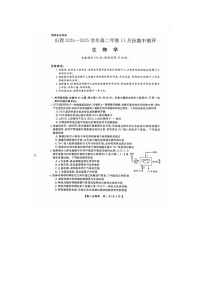 山西省运城市2024-2025学年高二上学期11月期中生物试题