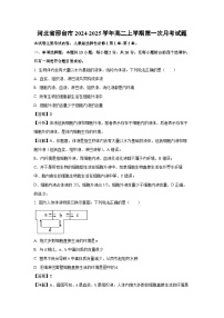 河北省邢台市2024-2025学年高二上学期第一次月考生物试卷[解析版]