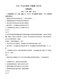 安徽省六安市第一中学2024-2025学年高三上学期11月月考生物试题（Word版附解析）