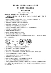 安徽省宿州市省、市示范高中2024-2025学年高一上学期期中联考生物试题（Word版附解析）