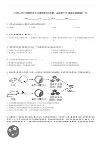 2024～2025学年甘肃兰州城关区兰州市第一中学高三(上)期中生物试卷(11月)[原题+解析]