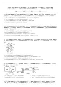 2024～2025学年11月山东泰安泰山区山东省泰安第一中学高三(上)月考生物试卷[原题+解析]