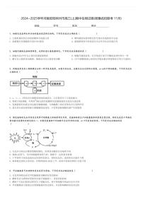 2024～2025学年河南安阳林州市高三(上)期中生物试卷(湘豫名校联考 11月)[原题+解析]