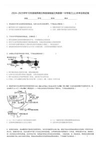 2024～2025学年10月湖南常德汉寿县湖南省汉寿县第一中学高三(上)月考生物试卷[原题+解析]