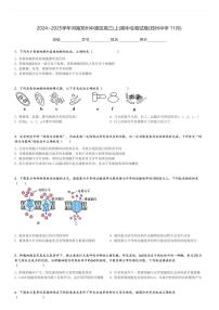 2024～2025学年河南郑州中原区高三(上)期中生物试卷(郑州中学 11月)[原题+解析]