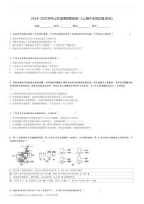 2024～2025学年山东淄博高青县高一(上)期中生物试卷(多校)[原题+解析]