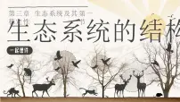 人教版 (2019)选择性必修2第1节 生态系统的结构优秀ppt课件