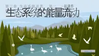人教版 (2019)选择性必修2第3章 生态系统及其稳定性第2节 生态系统的能量流动优质课件ppt