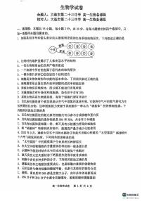 辽宁省大连市滨城高中联盟2024-2025学年高一上学期期中联考生物试题