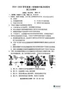 天津市五区县重点校联考2024-2025学年高三上学期期中考试生物试题