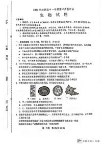 河南省南阳市2024-2025学年高一上学期11月期中生物试题