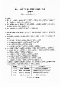 2025届辽宁省点石联考&县级协作体高三上学期11月期中考-生物试卷+答案