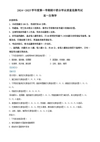 广东省东莞市两校2024-2025学年高一上学期期中联合考试生物试卷（Word版附解析）