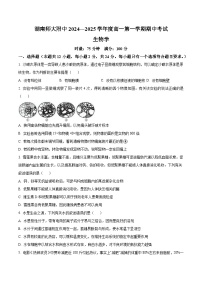 生物-湖南省长沙市湖南师范大学附属中学2024-2025学年高一上学期期中考试