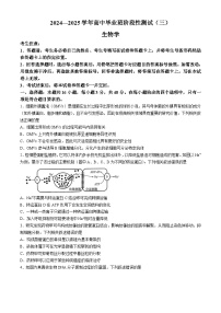 2025河南省部分名校高三上学期11月阶段性测试（三）（期中）生物含答案